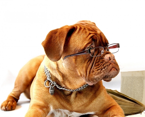 Registration Act - Tenant - Landlord